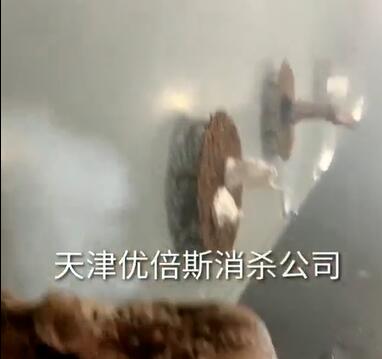 消毒現(xiàn)場