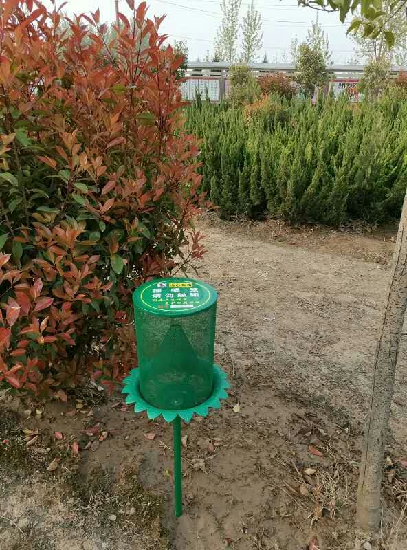 捕蠅籠，蠅籠引誘劑1