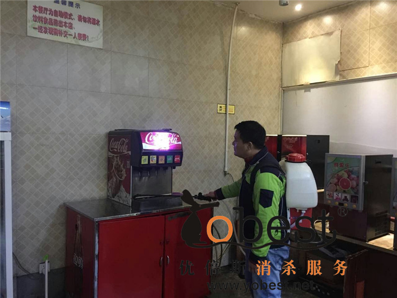 成功案例