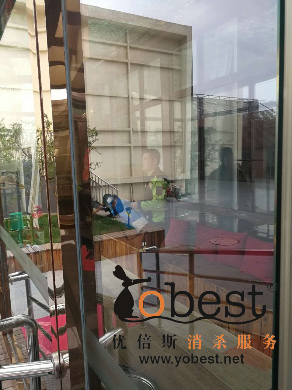 成功案例