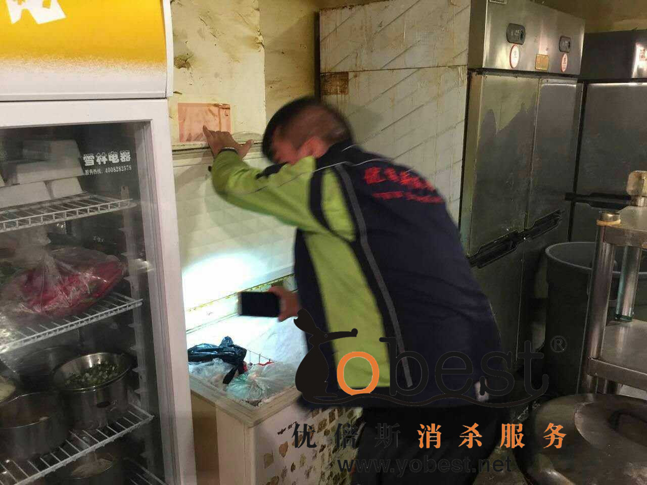成功案例