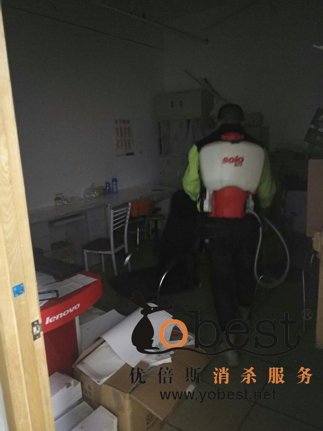 成功案例