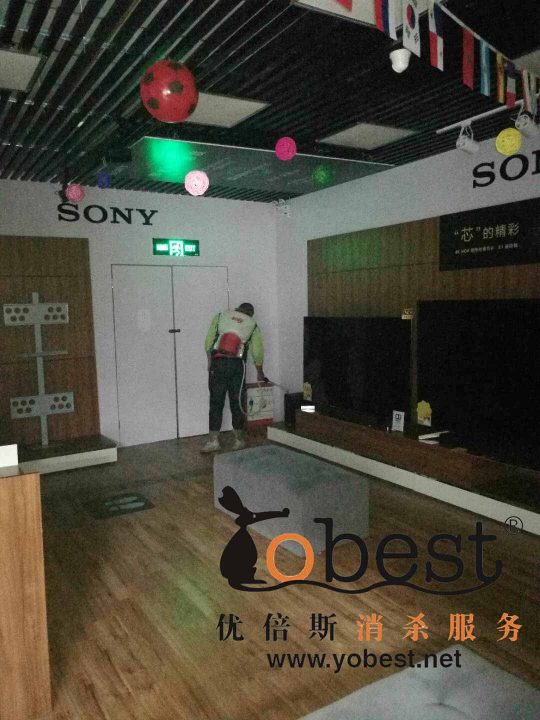 成功案例