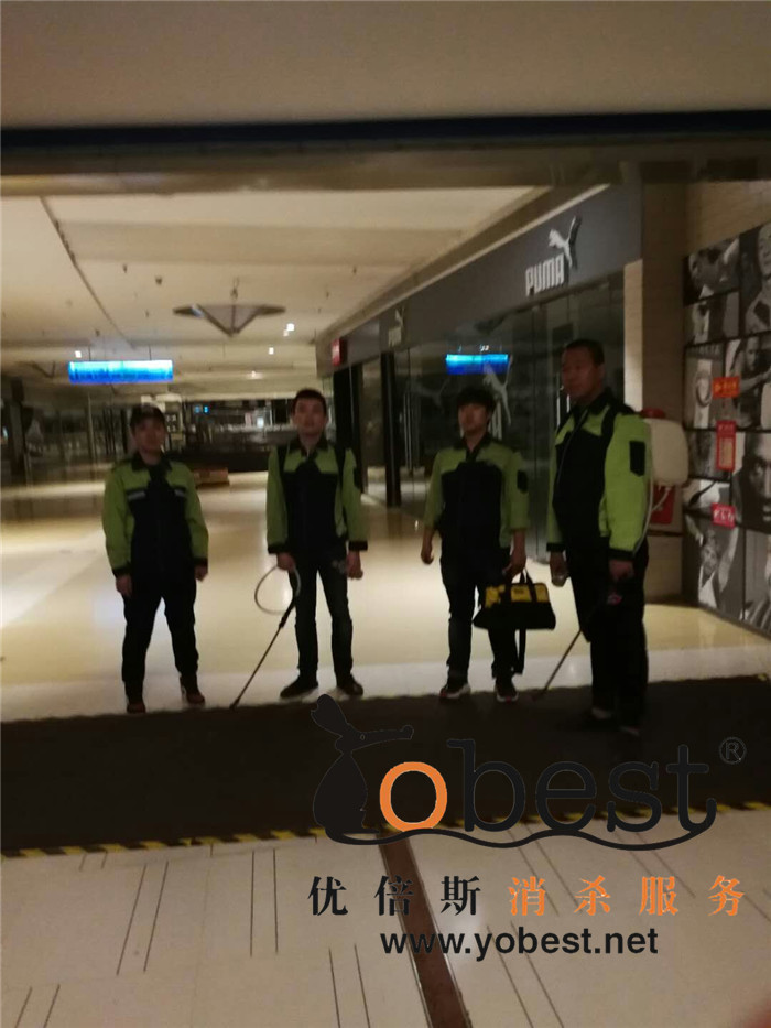 成功案例