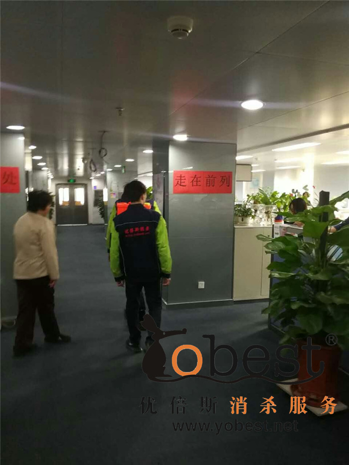 成功案例