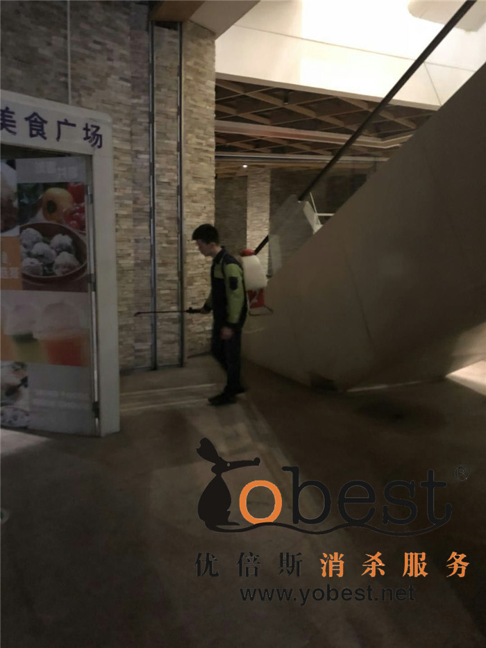 成功案例