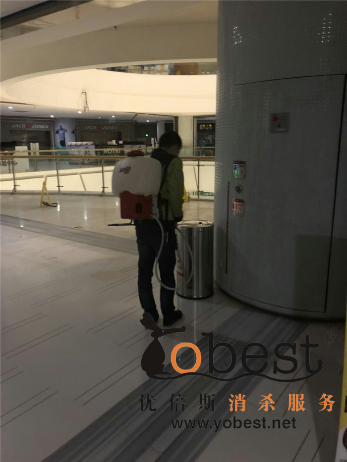 成功案例