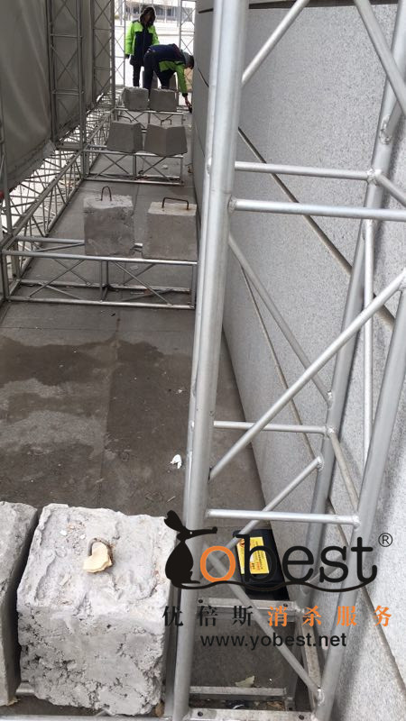 成功案例