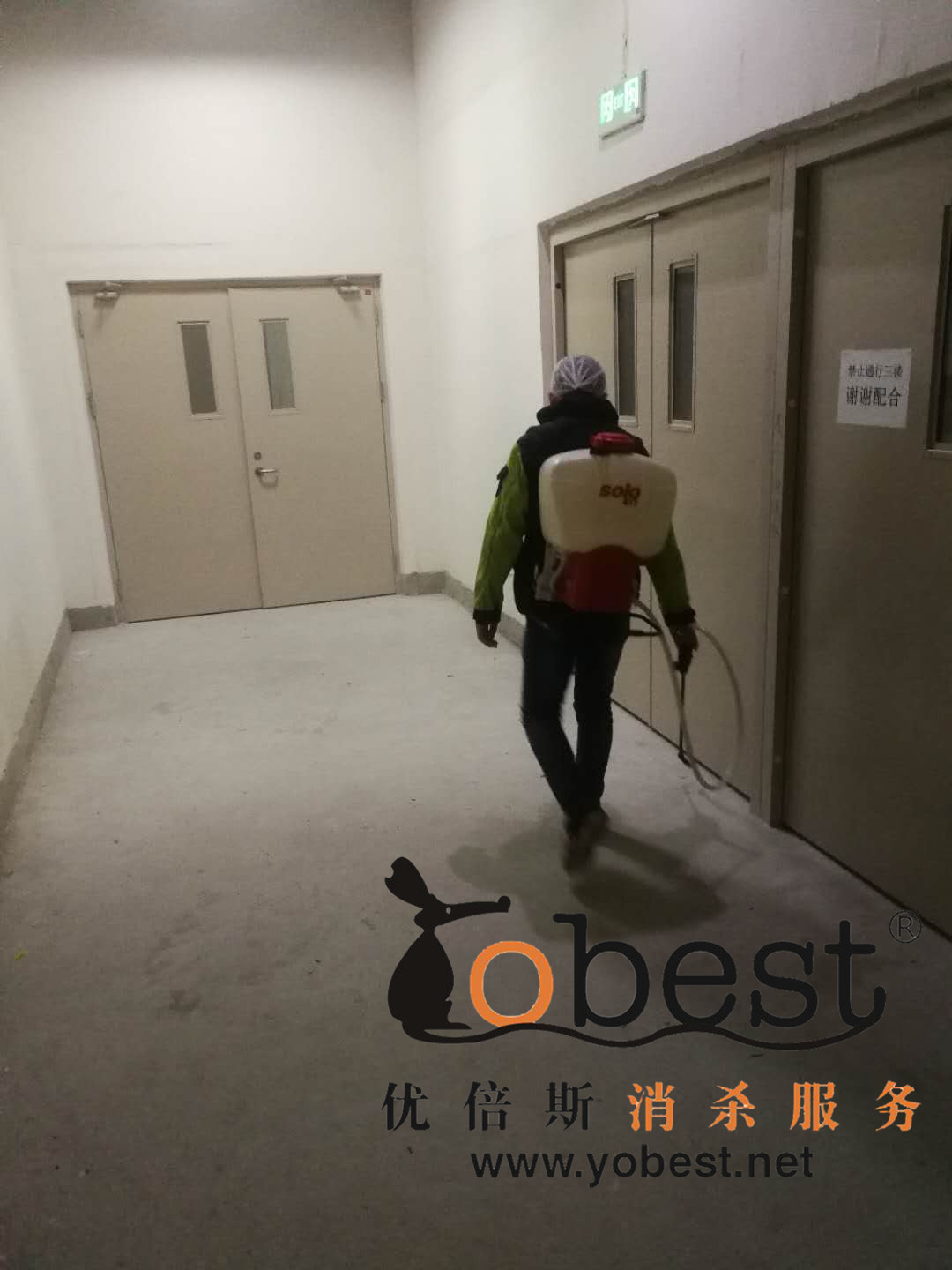 成功案例