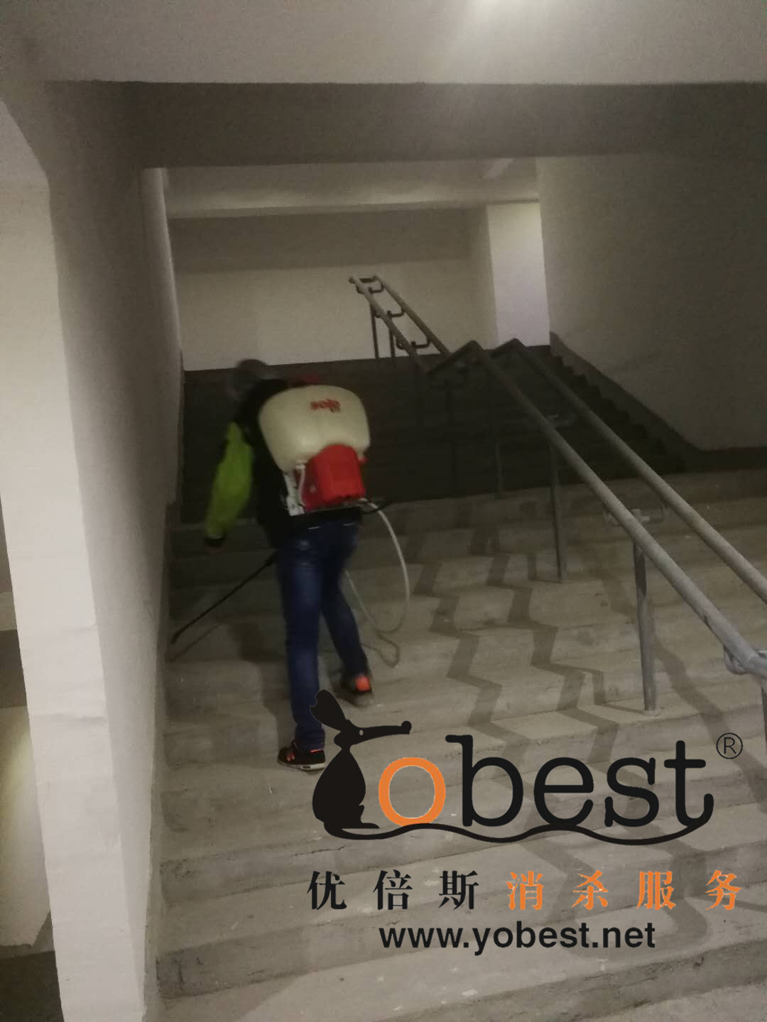 成功案例