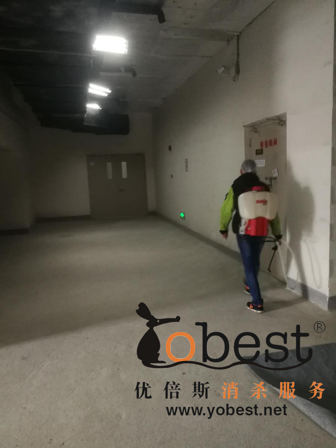 成功案例