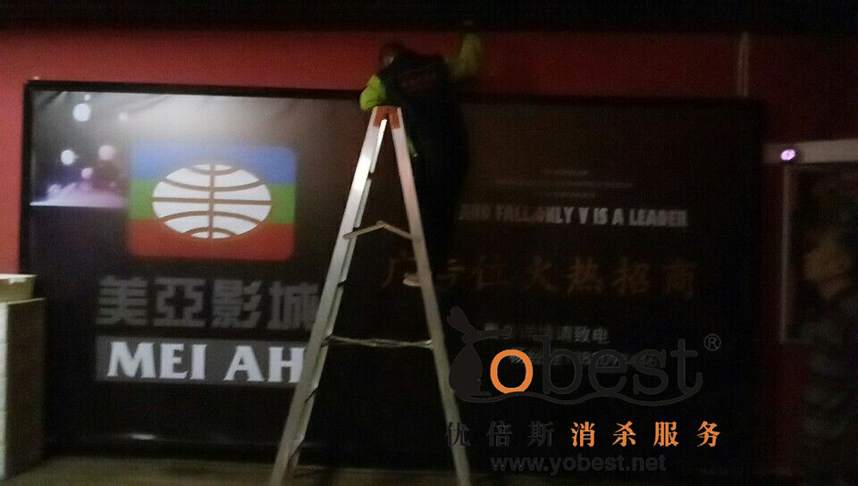 成功案例