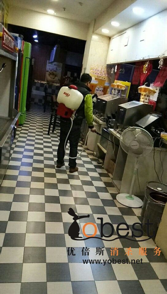 成功案例
