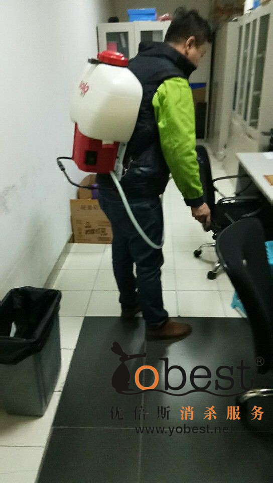 成功案例