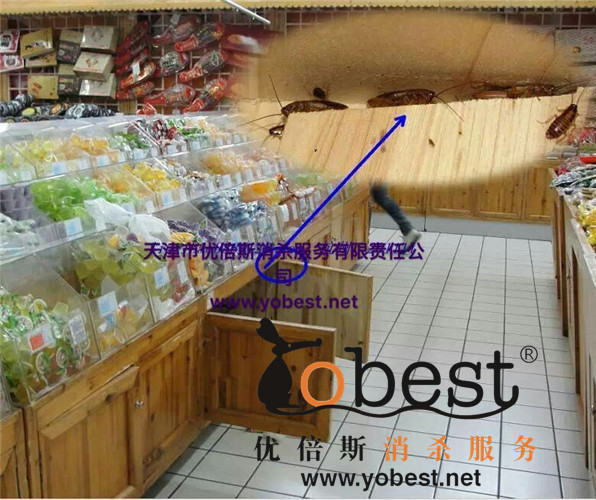 成功案例