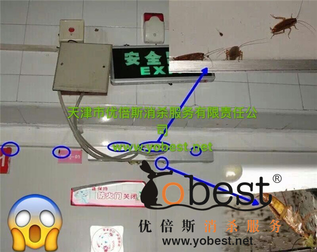 成功案例