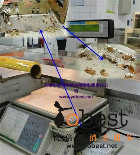 成功案例