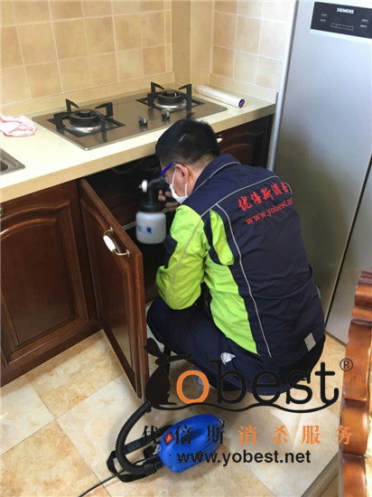 成功案例