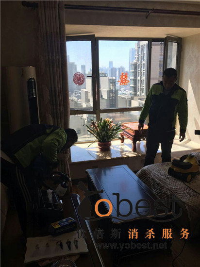 成功案例