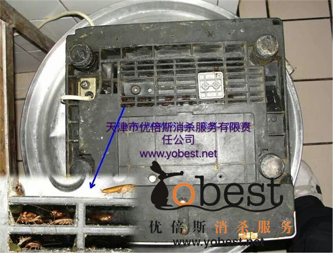 成功案例