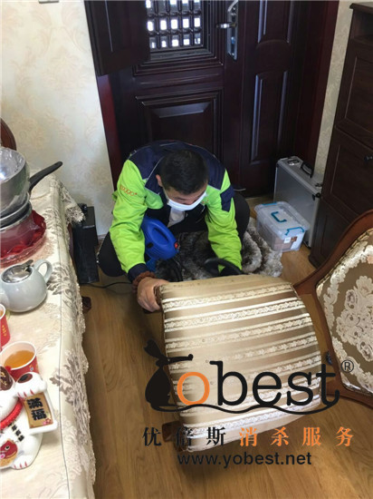 成功案例