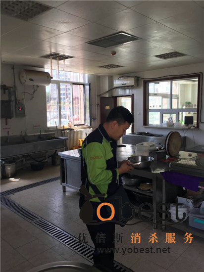成功案例