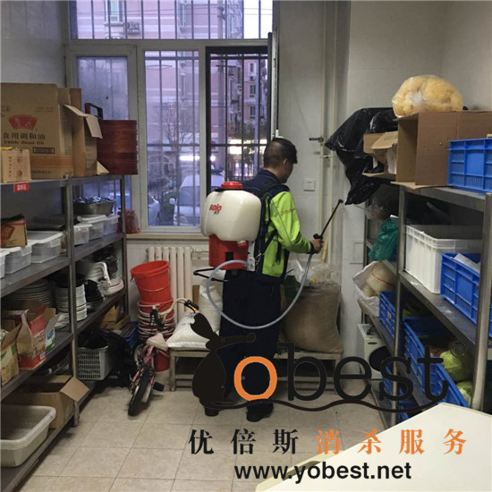 成功案例