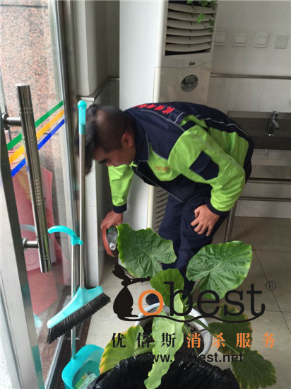成功案例