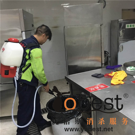 成功案例