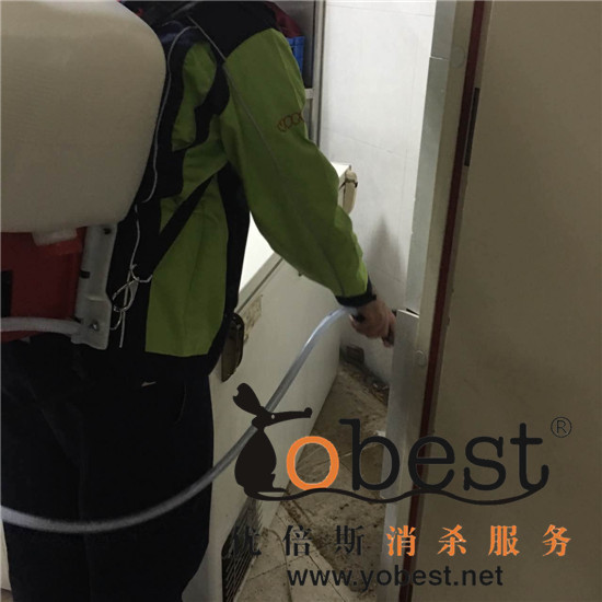 成功案例