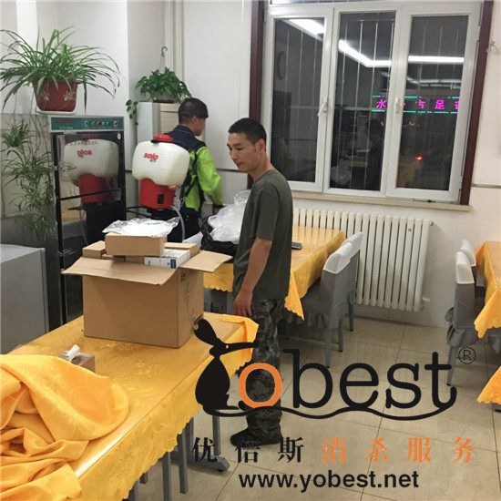 成功案例