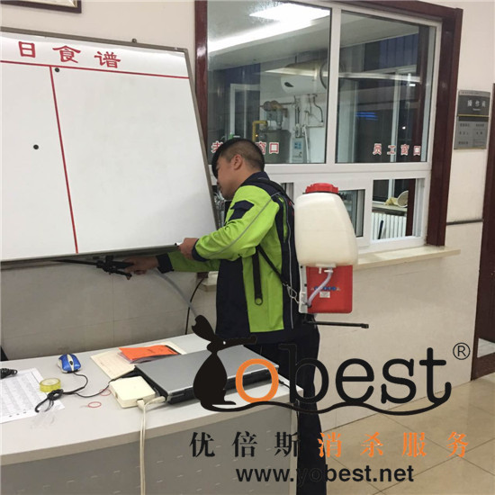 殺蟲現(xiàn)場(chǎng)