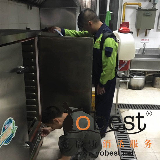 成功案例
