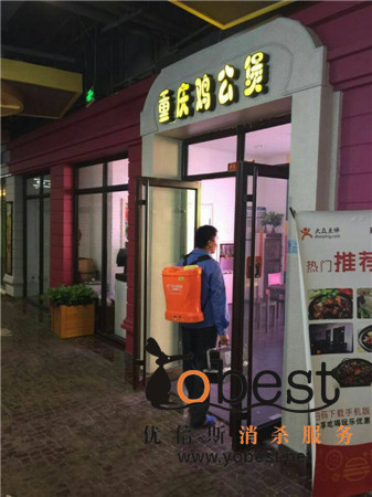 成功案例