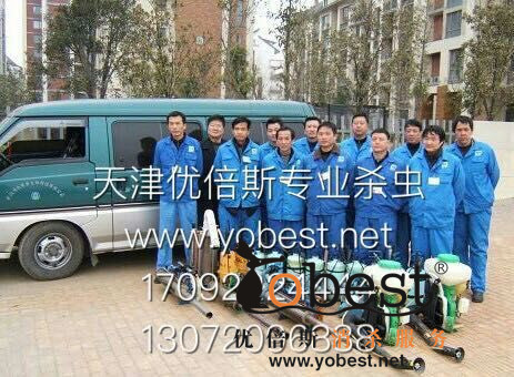 成功案例