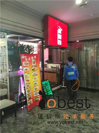 成功案例