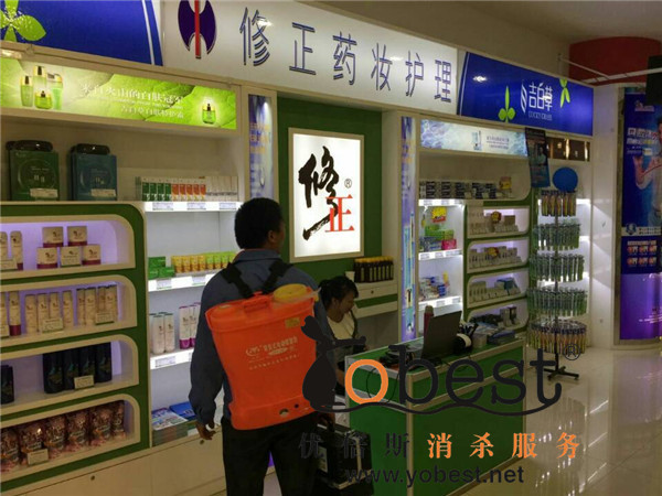 成功案例