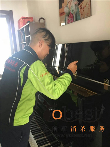 成功案例