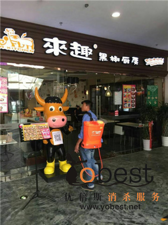 成功案例