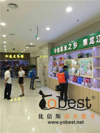 成功案例
