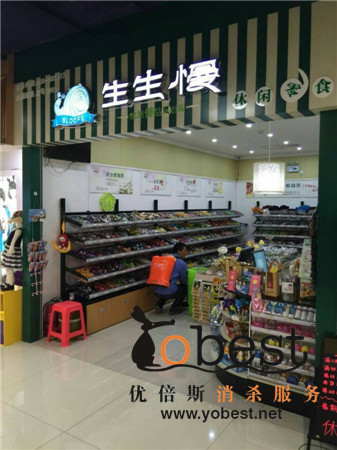 成功案例