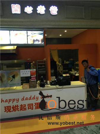 成功案例