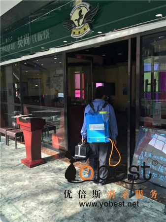 成功案例