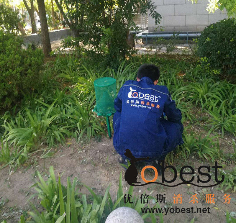 小區(qū)綠化帶殺蟲