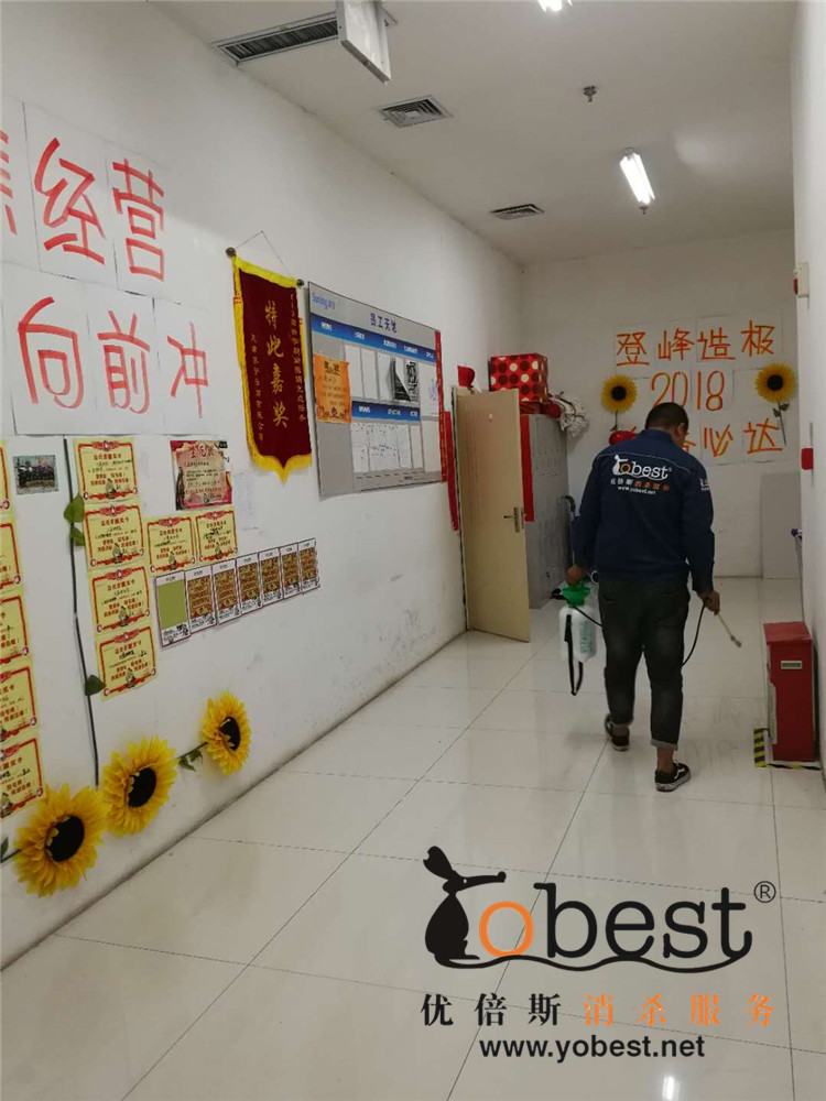 成功案例