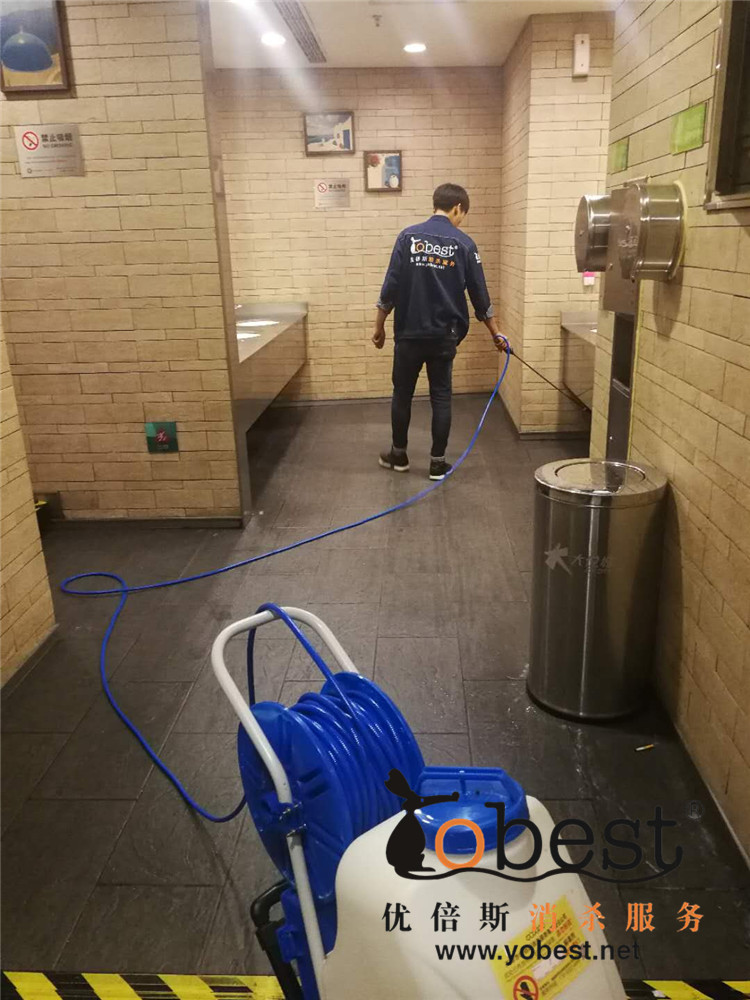 成功案例